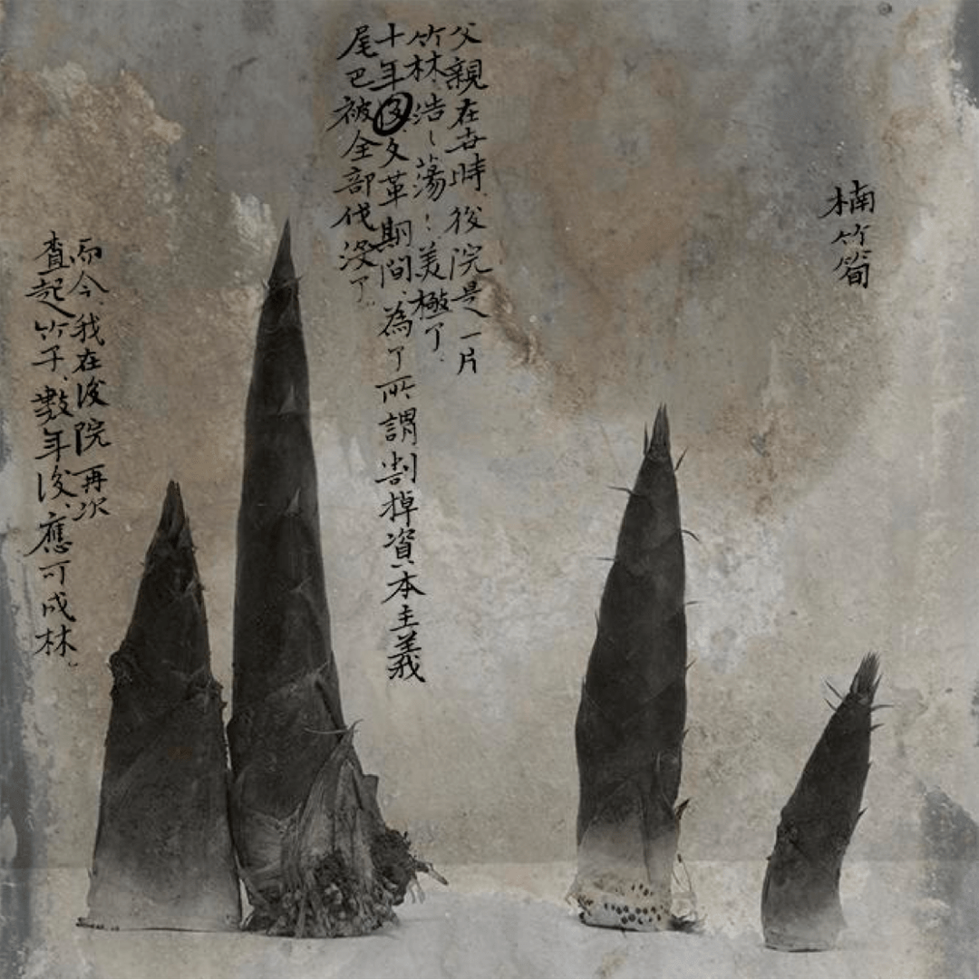“Mengxi 2” by Wei …