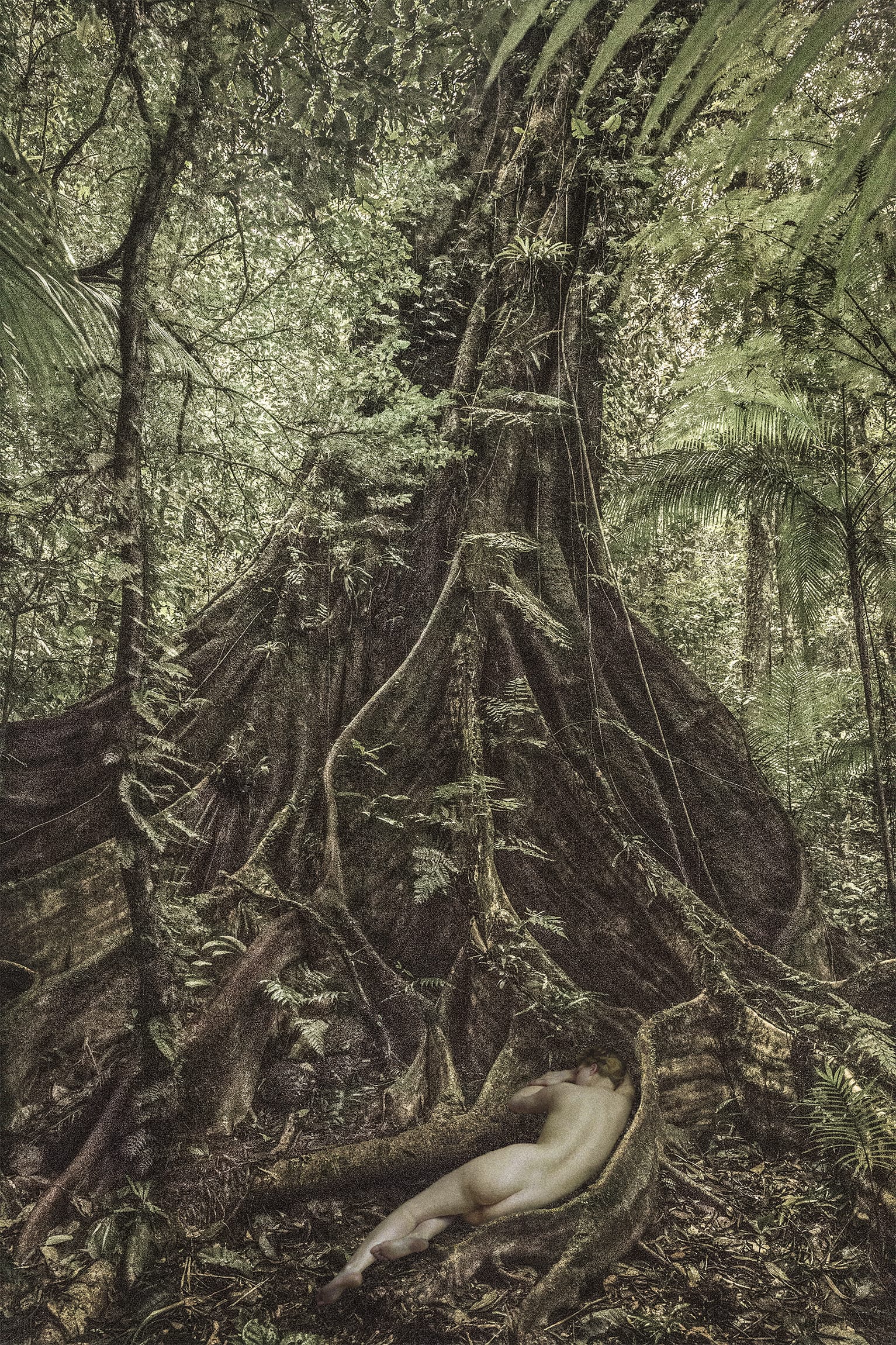 Dryads and Fauns (Limited Edition 250 Copies + signed C print) - Image 4