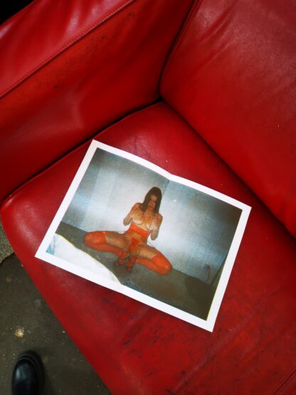 Travelling Model Signed Print numbered 80copies - Image 3