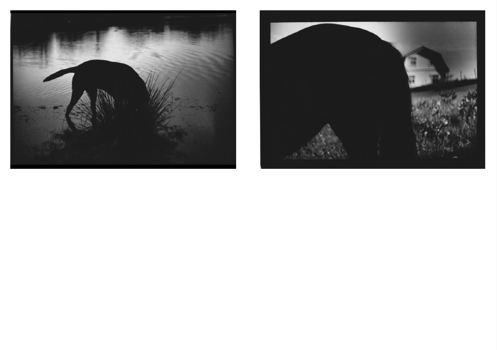 Emergence (limited edition of 250) - Image 3